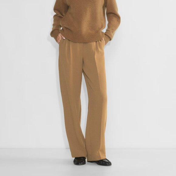 ARITZIA - Brown Pleated Tailored Pant (Size 6 - Lightly used) - Picture 1 of 5